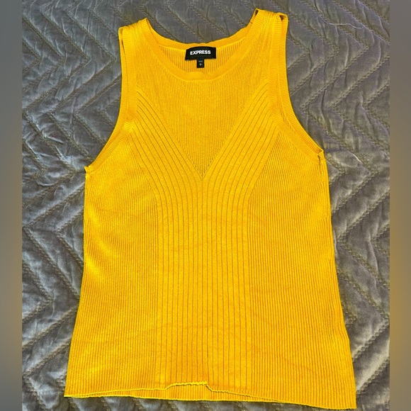 EXPRESS | Marigold Knitted Top - Picture 1 of 4